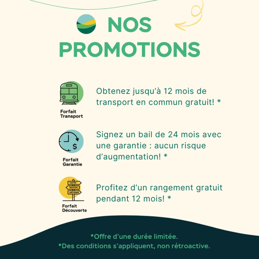 Pop up Site web promo 770 x 850 px FR & rangement gratuit