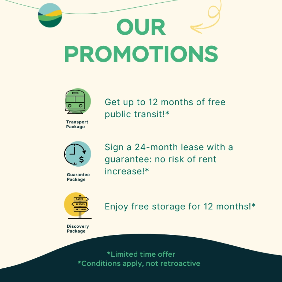 Pop up Site web promo 770 x 850 px EN free storage