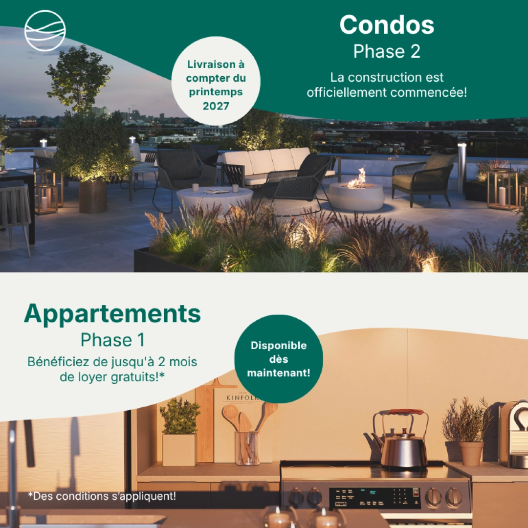 POP UP 15 nov au 15 jan 2026 modif FR