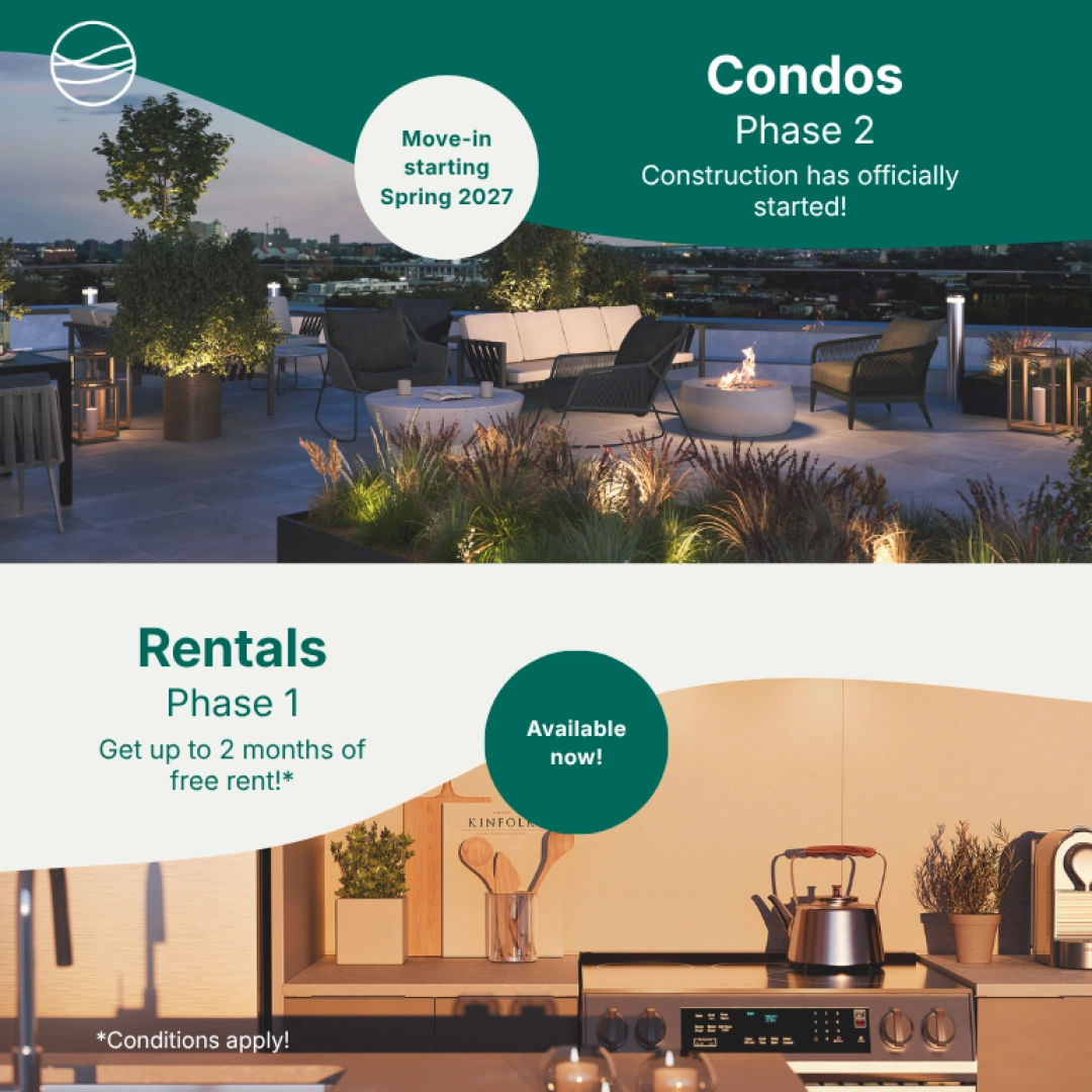 POP UP 15 nov au 15 jan 2026 modif EN